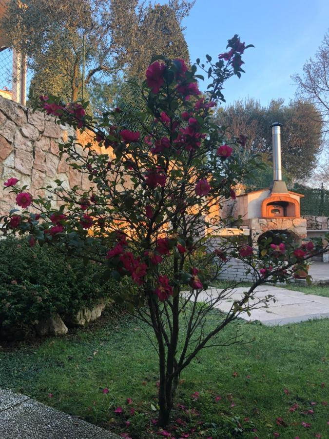 B&B Damiano Crespano del Grappa Exteriör bild